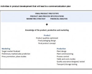 commercialization plan